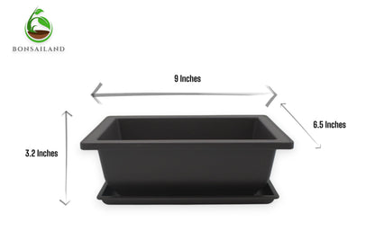 Bonsai Pots Rectangular Planter Containers with Humidity Trays, 3 Pack - 9 Inch Plastic Growing Pots for Garden, Succulents, Small Flowers and Plants