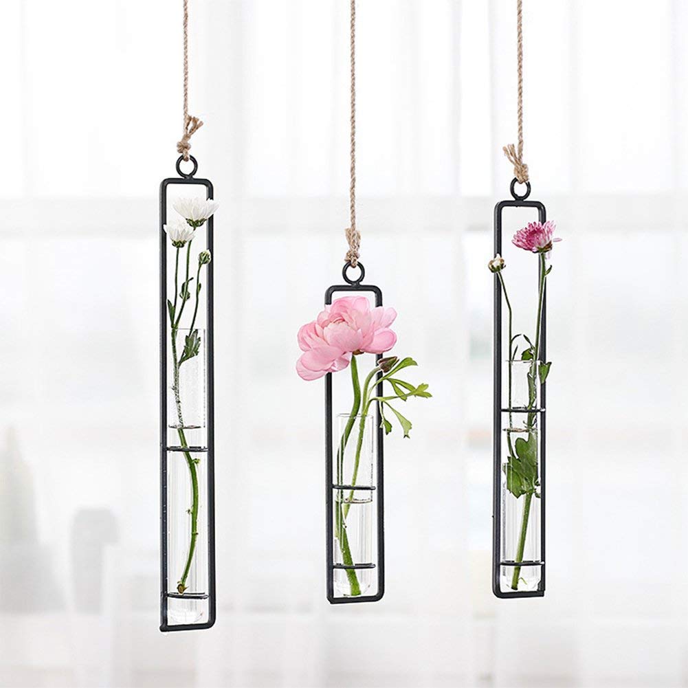 Sziqiqi Glass Propagation Station Test Tube Vases Clear Glass for Cuttings, Buds, Greenery Hydroponic Plant Propagation Home Balcony Bath Wall Decoration Floral Container Set of 3 Black