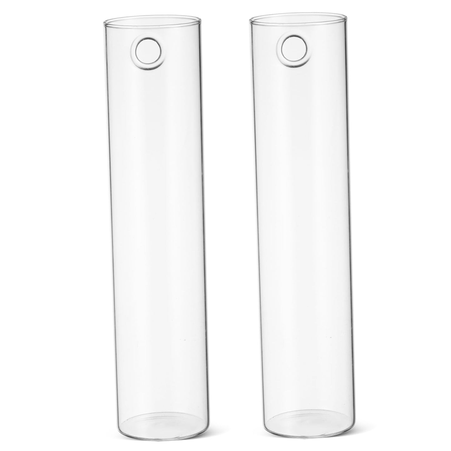 ibasenice 2pcs Hanging Propagation Planters Wall Mounted Flower Tube Vase Glass Terrarium Plants Holder Wall Vase for Flowers