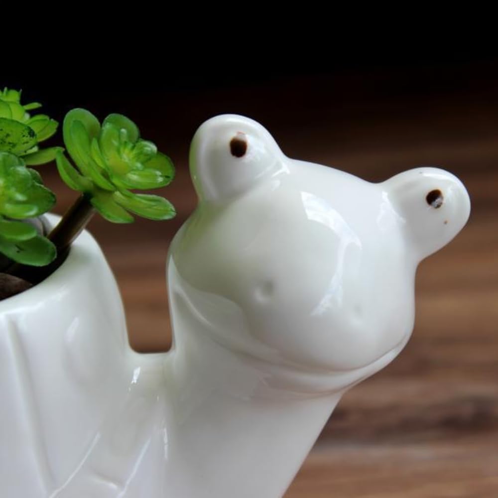 Ceramics Succulent Pot Animals Planter/Plant/Flower/Bonsai Pot Ornament for Herb, Succulent,Cactus Container for Home Balcony Desk Decoration (Turtle)