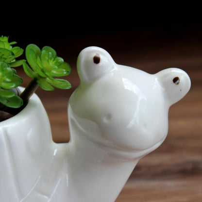 Ceramics Succulent Pot Animals Planter/Plant/Flower/Bonsai Pot Ornament for Herb, Succulent,Cactus Container for Home Balcony Desk Decoration (Turtle)