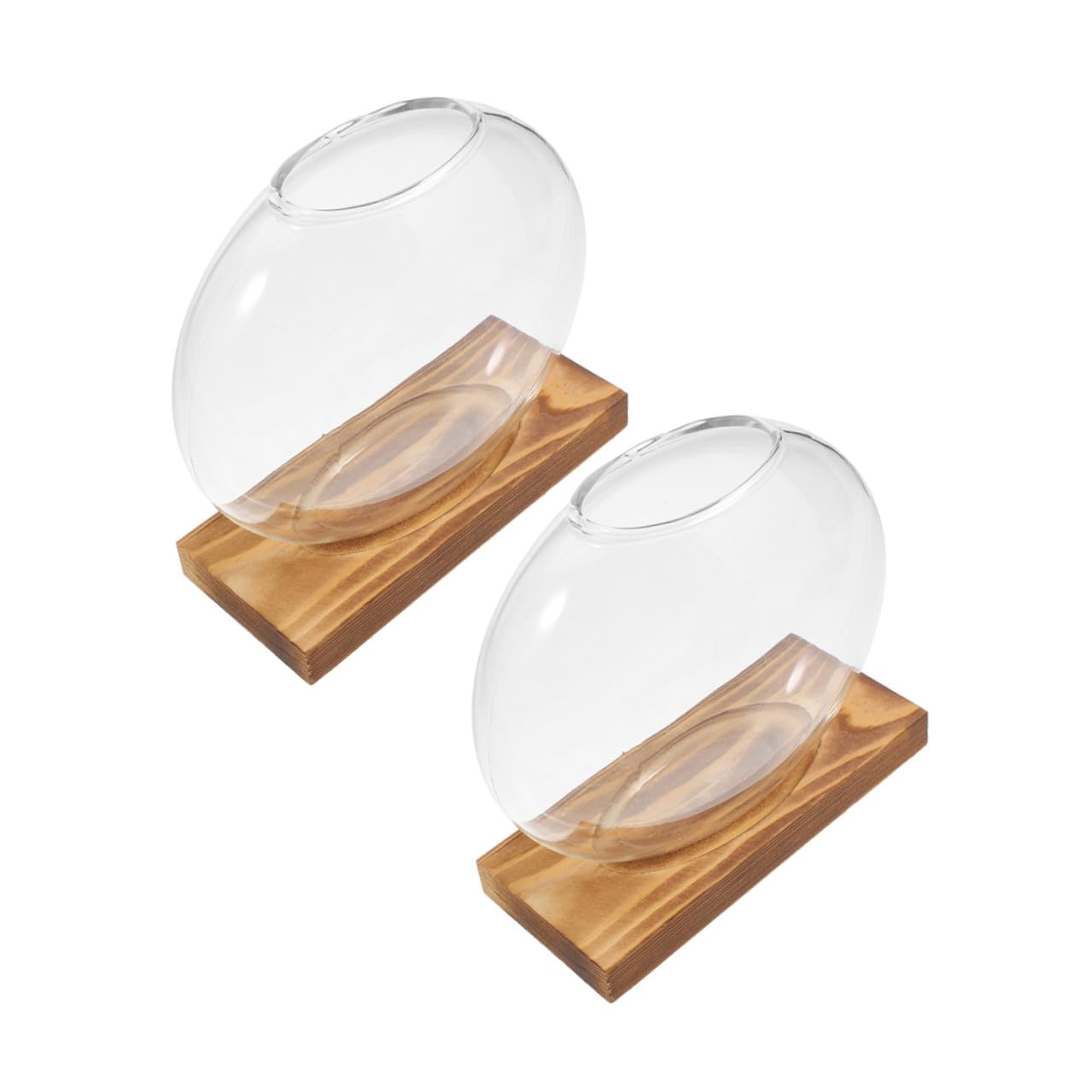TINEASUR Propagation Glass Vase Set with Wooden Stand, Hydroponic Plant Holder for Indoor Desk, Desktop Planter for Root Observation and Plant Cultivation, 2pcs Home Office Terrarium