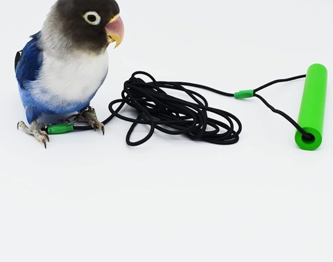 Bird Foot Chain with Flying Latex Elastic Training Rope Outdoor Parrot Ankle Foot Ring Accessories Bird Harness Leash Prevent Escaping (Model5-With 236inch Leash)
