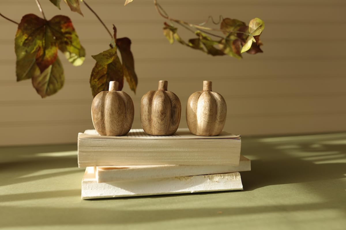 Foreside Home and Garden Pumpkin Deco Baubles Figurines with Bag Set of 3 Beige