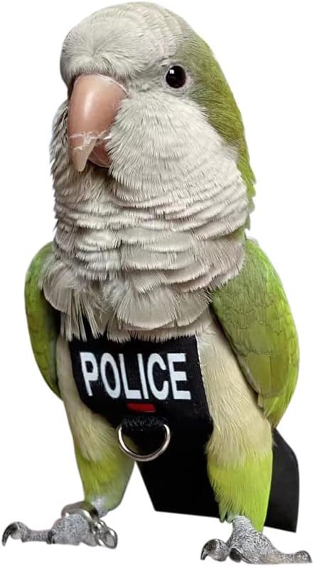 Bird Clothes Parrot Diapers Bird Flight Suits, Reusable Waterproof Diapers pet Bird Supplies (M)