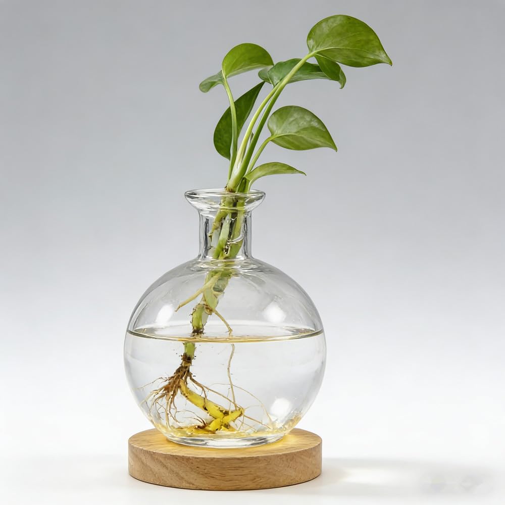 Led Hydroponic Plant Vase, Hydroponic Glass Container Vase Jars, Plant Propagation Station with Wooden Saucer for Desks, Houses, Garden Decorations