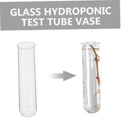 Healifty 4pcs Terrarium Supplies Glass Plant Vase Test Tube Vases for Flowers Plant Propagation Glass Tubes
