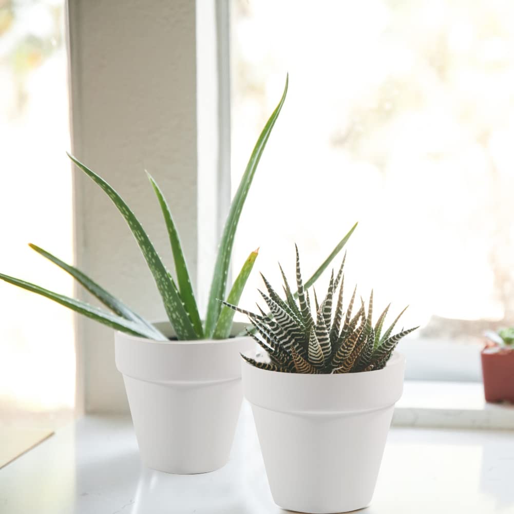 Sderoq 3 Inch Terracotta Pots - 22Pack Clay Flower Pots with Drainage Hole, Succulent Nursery Pot/Cactus Plant Pot. Great for Plants, Crafts, Wedding Favorn, DIY Production (White)
