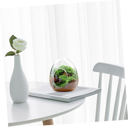 POPETPOP Glass Plant Propagation Station for Home Office Terrarium Supplies Eco Bottle
