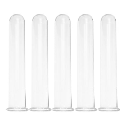 STAHAD Glass Hydroponic Vase Plant Propagation Tubes 5pcs 2.5x3x15cm Test Tubes for Small Terrarium Plants Home Desk Decoration