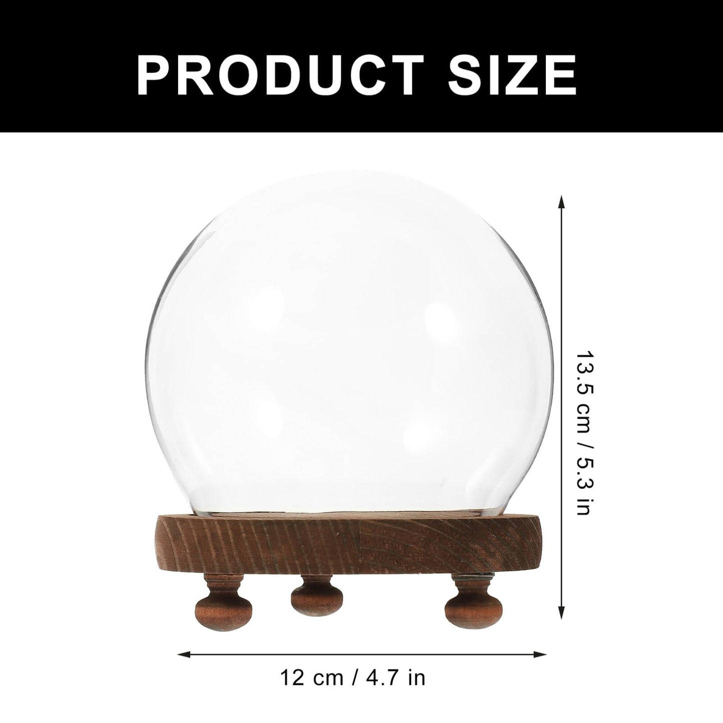 HOMSFOU Glass Display Dome with Wood Base 5.3 Inch Clear Glass Cloche Terrarium Globe for Miniature Plants Preserved Flowers and Home D Cor