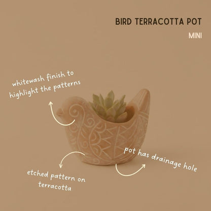 Potthing Terracotta Bird Shape Pots (Set)