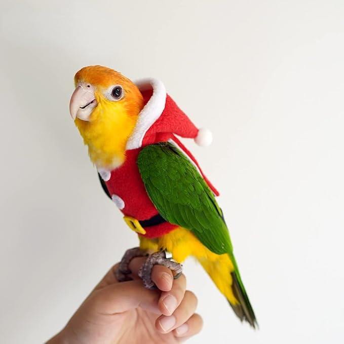 Bird Clothes Birds Flight Suit, Christmas Hoodie for Parrots Cockatiel Sun Conure Christmas Party Cosplay Photo Prop Bird Shirt Small Animals Apparel (Without Diaper,Alexandrine)