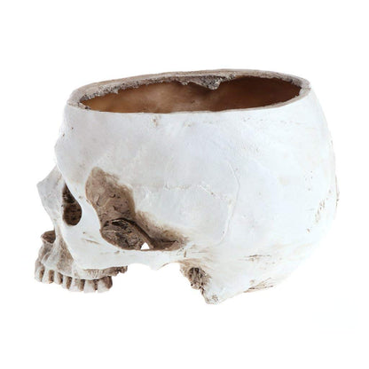 Skull planter , Resin Skull Head Flower Succulent Cactus Planter Pots , Small Object Containers Keys Sugar Candy Bowl, for Home Office Desk Decorations,Halloween Scene Statue Sculpture (White)