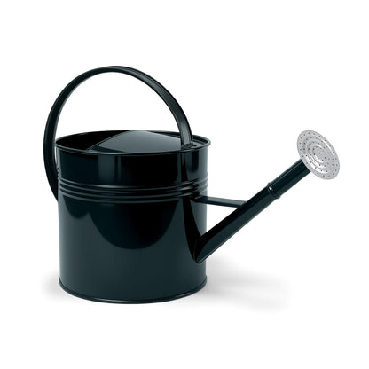 Galvanized Iron Watering Can for Indoor Plants, Oval Watering Cans for House Plant Garden Flower, Long Spout Water Can for Outdoor Watering Plants 9.46L 2.5 Gallon