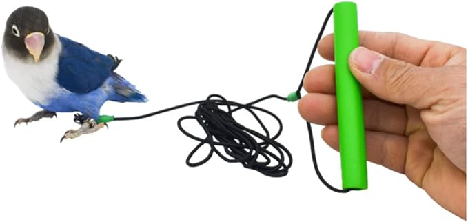 Bird Foot Chain with Flying Latex Elastic Training Rope Outdoor Parrot Ankle Foot Ring Accessories Bird Harness Leash Prevent Escaping (Model4-With 78.7inch Leash)