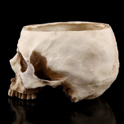 TOPINCN Modern Resin Skull Shaped Head Design Flower Pot Planter Container Decoration Large Flowerpot Set Props for Home Office Desk Decoration