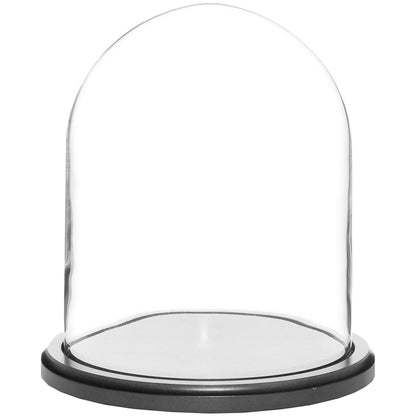 Plymor 8" x 10.25" Glass Display Dome Cloche (Black MDF Wood Base)
