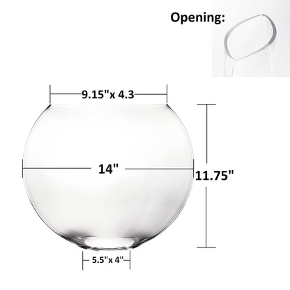CYS EXCEL Glass Moon Vase Oval Bowl (H:11.75" L:14") | Multiple Size Choices Round Flower Vase Centerpiece | Plant Terrarium Bowl Vase
