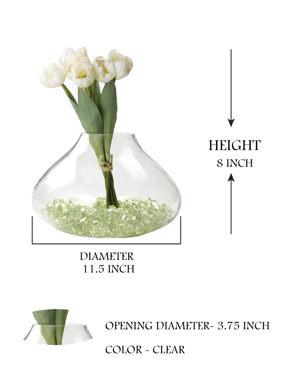Serene Spaces Living Small Clear Glass Terrarium Vase, Glass Succulent Planter, Bell-Shaped Plant Orb, Modern Floral Vase for Centerpiece, Indoor/Outdoor Decor, Measures 11.5" Diameter & 8" Tall