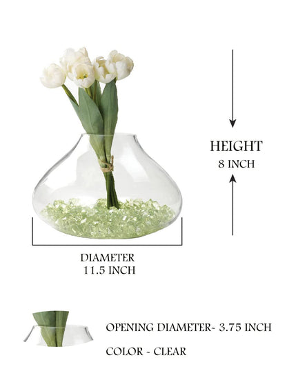 Serene Spaces Living Small Clear Glass Terrarium Vase, Glass Succulent Planter, Bell-Shaped Plant Orb, Modern Floral Vase for Centerpiece, Indoor/Outdoor Decor, Measures 11.5" Diameter & 8" Tall