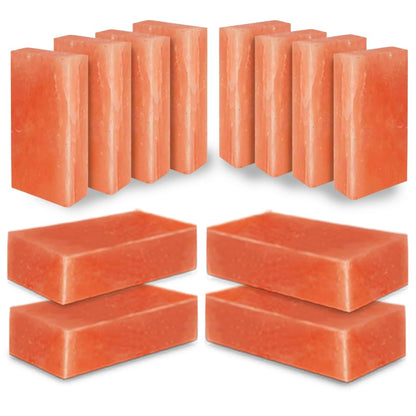 Himalayan Salt Bricks for Sauna and Spa 8"x4"x2"- Pack of 10 Pink Salt Tiles for Making Salt Wall | Bulk Salt Block for Home Décor DYE Work