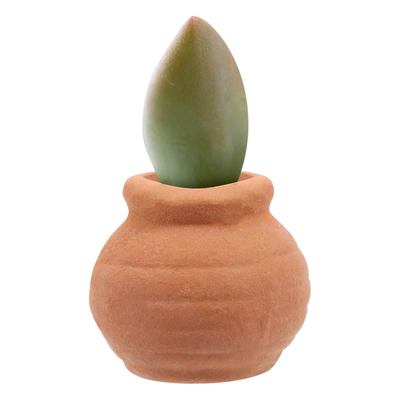 Toddmomy 8Pcs Miniature Clay Succulent Planter Pots Tiny Terracotta Flower Pots for Small Plants Desktop Windowsill Garden