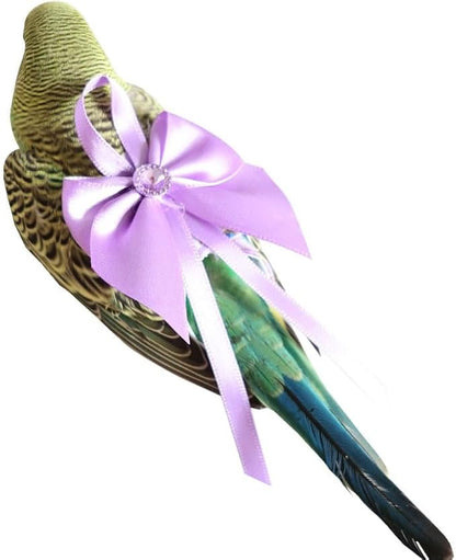 6pcs Bow Bird Diaper Set, Soft Reusable Flight Suit Clothing for Parrots Budgies Cockatiels — Cleaner Indoor Bonding & Training (S)