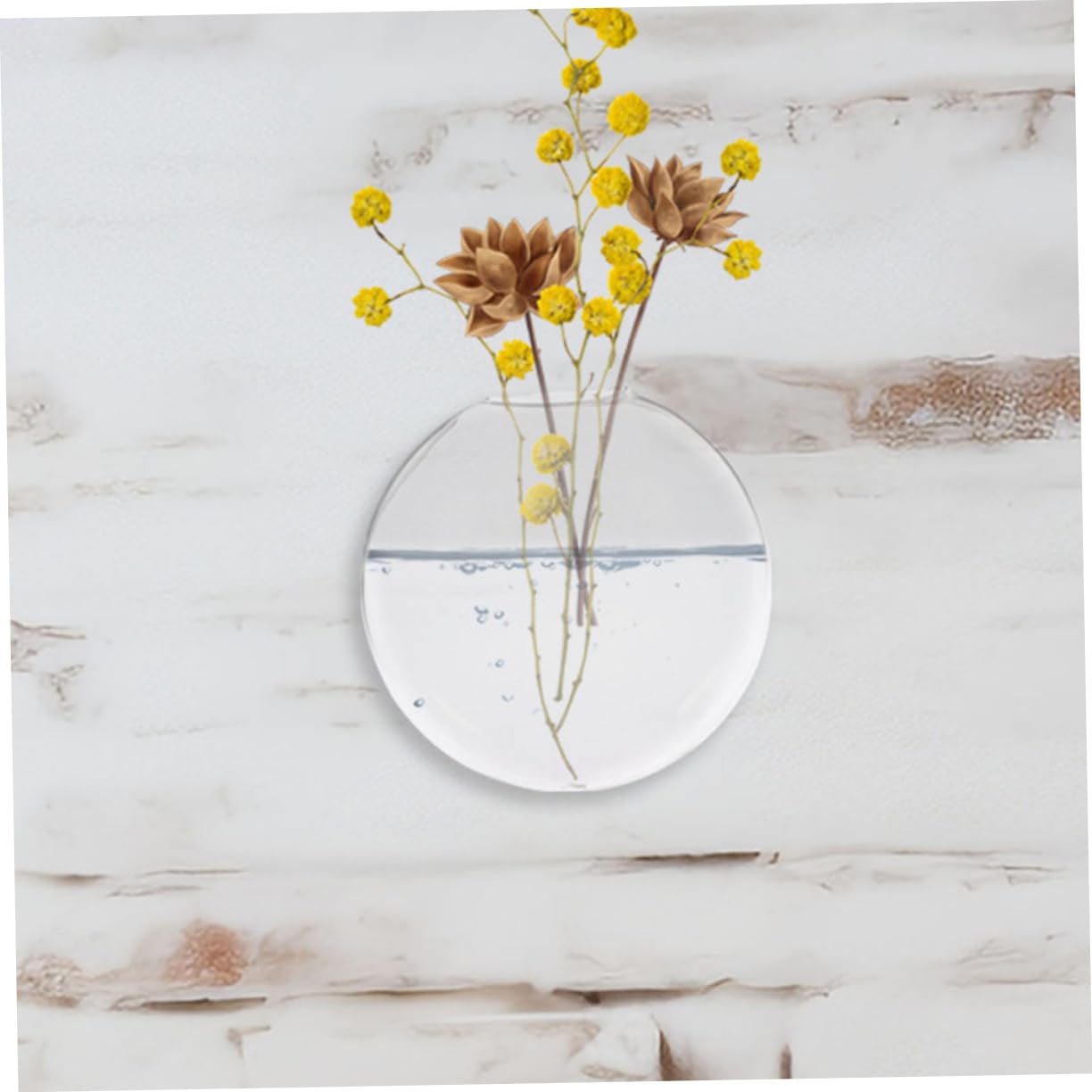 Healifty 2pcs Glass Wall Decor Wall Hanging Plant Vase Hydroponic Plant Terrarium Easy Care Container for Home