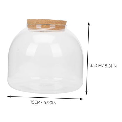 FUNOMOCYA Plant Terrariums Micro Landscape Bottle Glass Bottle Decor DIY Room Plant
