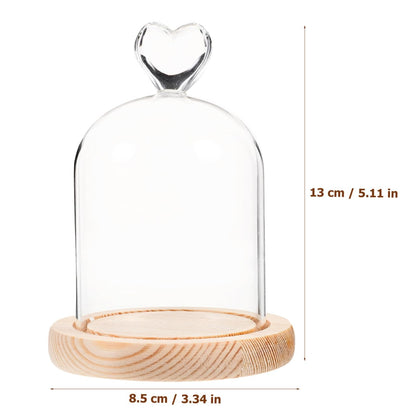 ULTECHNOVO Glass Display Dome Cloche with Solid Wood Base, Clear Glass Dome Cloche Bell Terrarium Jar for Plants, Collectibles And Figurines