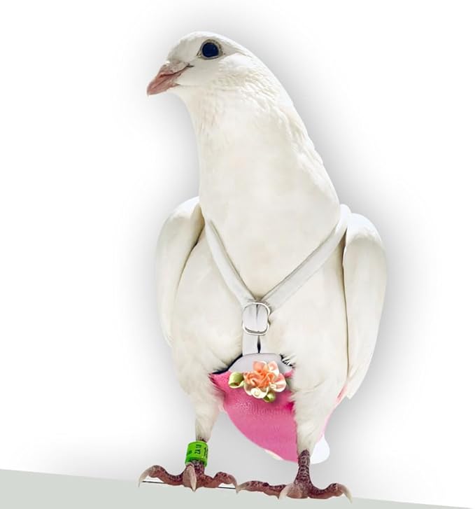 FLYPER Adjustable Mini Bird Diaper | Reusable, Washable Cloth | Comfort Fit for Parrots, Cockatiels, and Other Small Birds | Fashionable Avian Accessories (Sparkly Rose, Size 9.5)