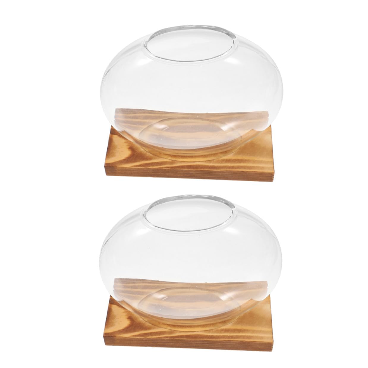 VALICLUD Glass Plant Propagation Station with Wooden Base, Hydroponic Small Glass Vase for Indoor Plants, 2pcs Terrarium for Home and Office Décor