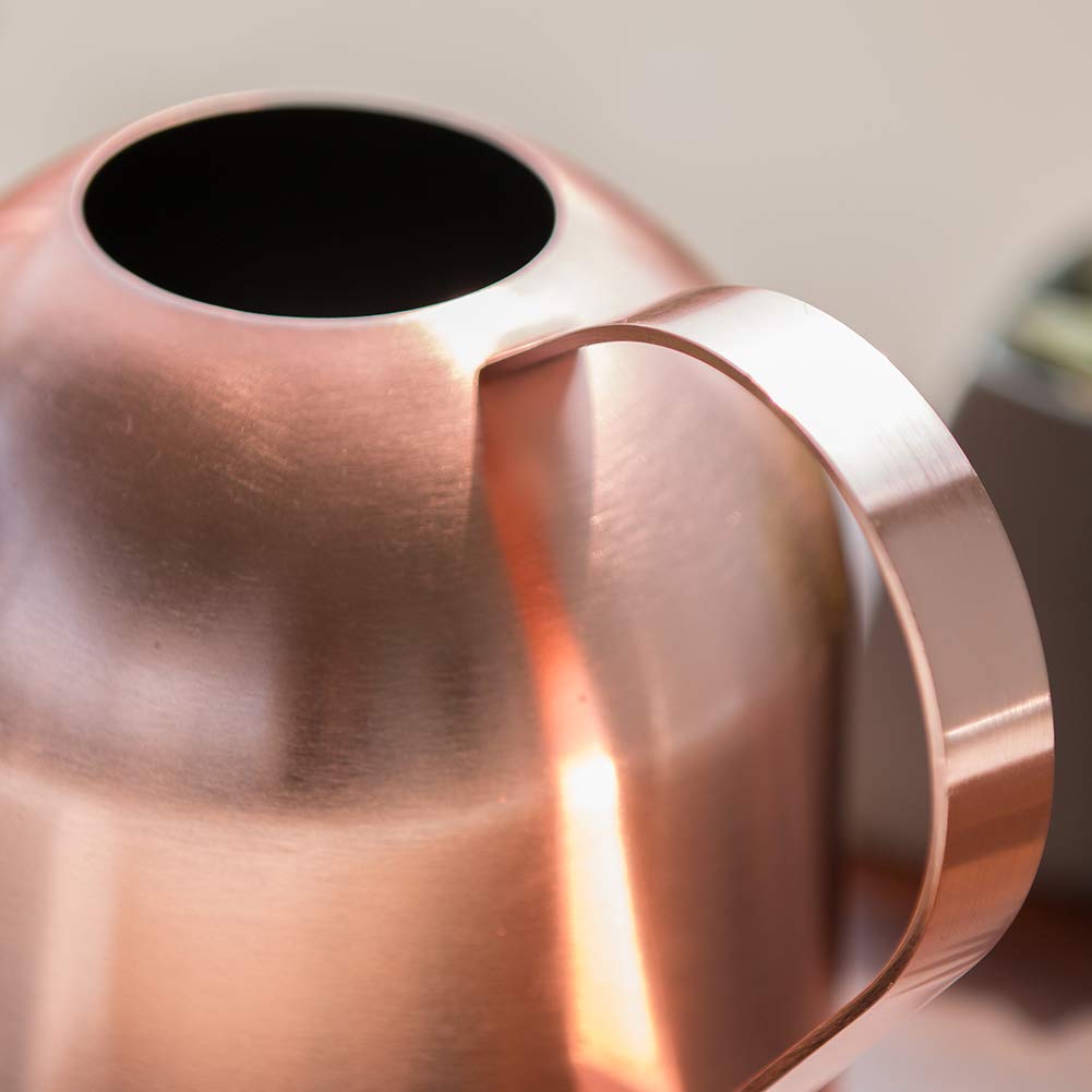 E.Palace Small Watering Can Indoor Plants Metal Watering Cans 15oz Capacity Cute Design for House Plants & Gardens (Rose Gold 15 oz)