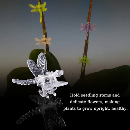 Watris Veiyi 100Pcs Plant Orchid Support, Garden Dragonfly Orchid Clips, Portable Cute Flower Vine Clips (Transparent)