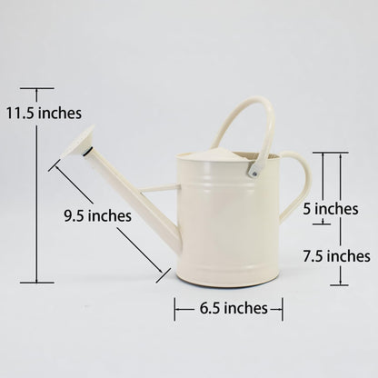 HORTICAN 1 Gallon Watering Can, Matte Cream, Metal Watering Can with Removable Spout, Galvanized Water can, Perfect Plant Water Can for Outddor and Indoor Use