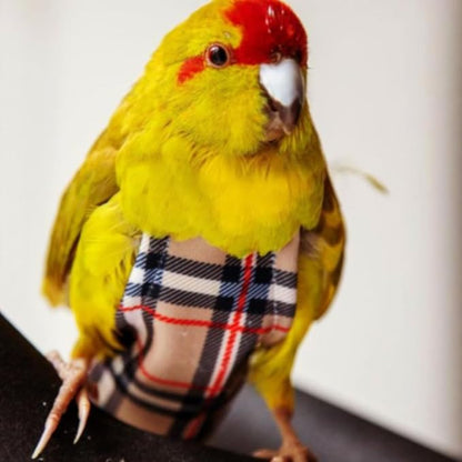 Avian Fashions FeatherWear FlightSuit X-Small(2) Bird Diaper in BirBerry