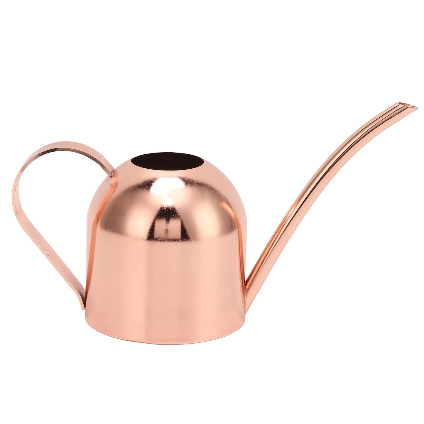 Phefop Watering Can, Stainless Steel, Large Capacity for Indoor Outdoor Plants, 1 Gallon Mini Can for Bonsai and Houseplants