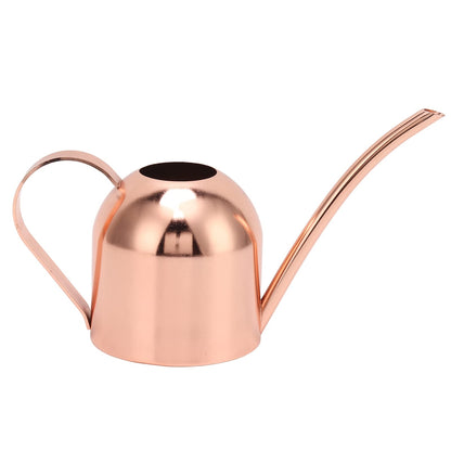 Phefop Watering Can, Stainless Steel, Large Capacity for Indoor Outdoor Plants, 1 Gallon Mini Can for Bonsai and Houseplants