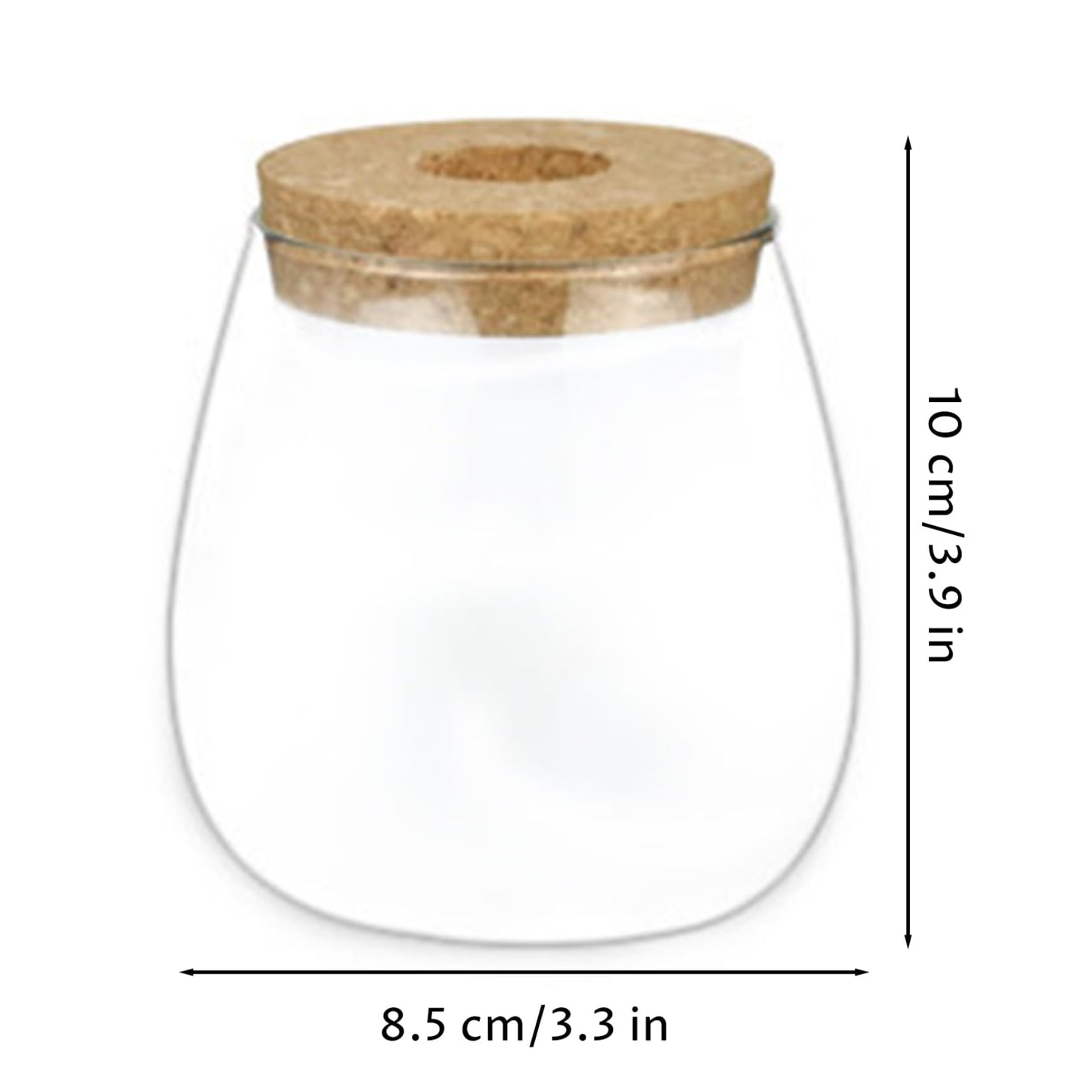 Xoeryoy Propagation Vases for Plants, Clear Glass Terrarium Jar with Wooden Stopper for Hydroponics, Creative Home Decor and Tabletop Plant Propagation Station
