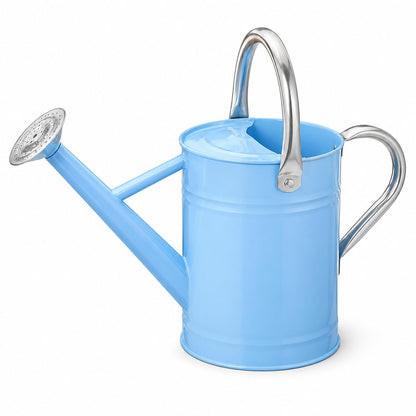1 Gallon Metal Watering Can for Indoor Outdoor Plants, Galvanized Steel Watering Can with Removable Spout, 2 Stainless Steel Handles, Garden Flower Watering Pot