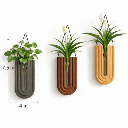 MODUGLE Wall Mounted Wooden Propagation Station Set of 3 - Boho Hanging Indoor Wall Planter Vases for Plants & Flowers, Handmade Rainbow Decor for Living Room, Entryway, or Home Gallery Display