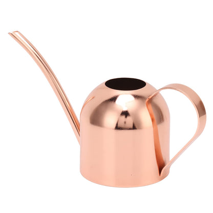 Phefop Watering Can, Stainless Steel, Large Capacity for Indoor Outdoor Plants, 1 Gallon Mini Can for Bonsai and Houseplants