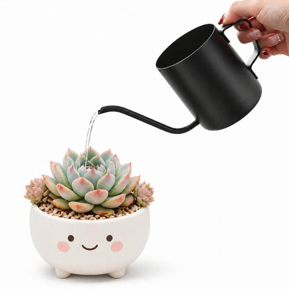 Watering Can for Indoor Plants, 12 oz / 350 ml Mini Plant Waterer, Stainless Steel Watering Can with Long Spout for House Plants, Succulents and Garden Decorative, Gentle Flow & No Spills