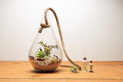 WGV Hanging Planter Terrarium, Width 5", Height 9.5", DIY Clear Glass Succulents Air Teardrop Floral Container (Including Rope), Candle Holder Vase for Outdoor Indoor Decor, 1 Piece