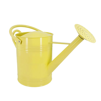 Galvanized Iron Watering Can for Indoor Plants, DIY Watering Cans for House Plant Garden Flower, Long Spout Water Can for Outdoor Watering Plants 6.44L 1.7Gallon (Beige)