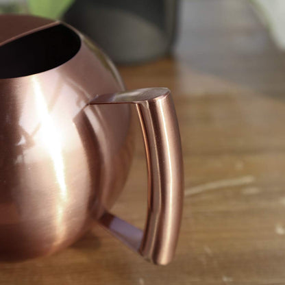 Chemlliy Watering Can with Long Spout and Comfortable Handle, 35 oz/1000ml Small Watering Can for Indoor Plants, Stainless Steel Garden Watering Pot for Indoor House Plants Bonsai Flower Decorative