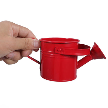 2 Pack Small Metal Watering Can for Kids, Mini Plant Water Pot for Indoor Outdoor Gardening, Cute Toddler Beach Sand Bath Toys with Sprinkler Head, Tiny Succulent Bonsai Cans, 6oz