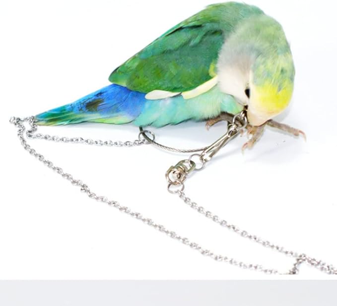 Bird Foot Chain Flying Stainless Steel Training Rope Outdoor Parrot Ankle Foot Ring Accessories Bird Harness Leash Prevent Escaping (5#)