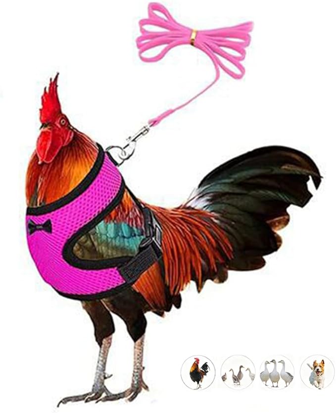 Chicken Harness and Leash Set Adjustable Mesh Breathable Duck Training Harness Pets Leashs for Goose Hen Rooster Parrots Dog Kitten, Pink L